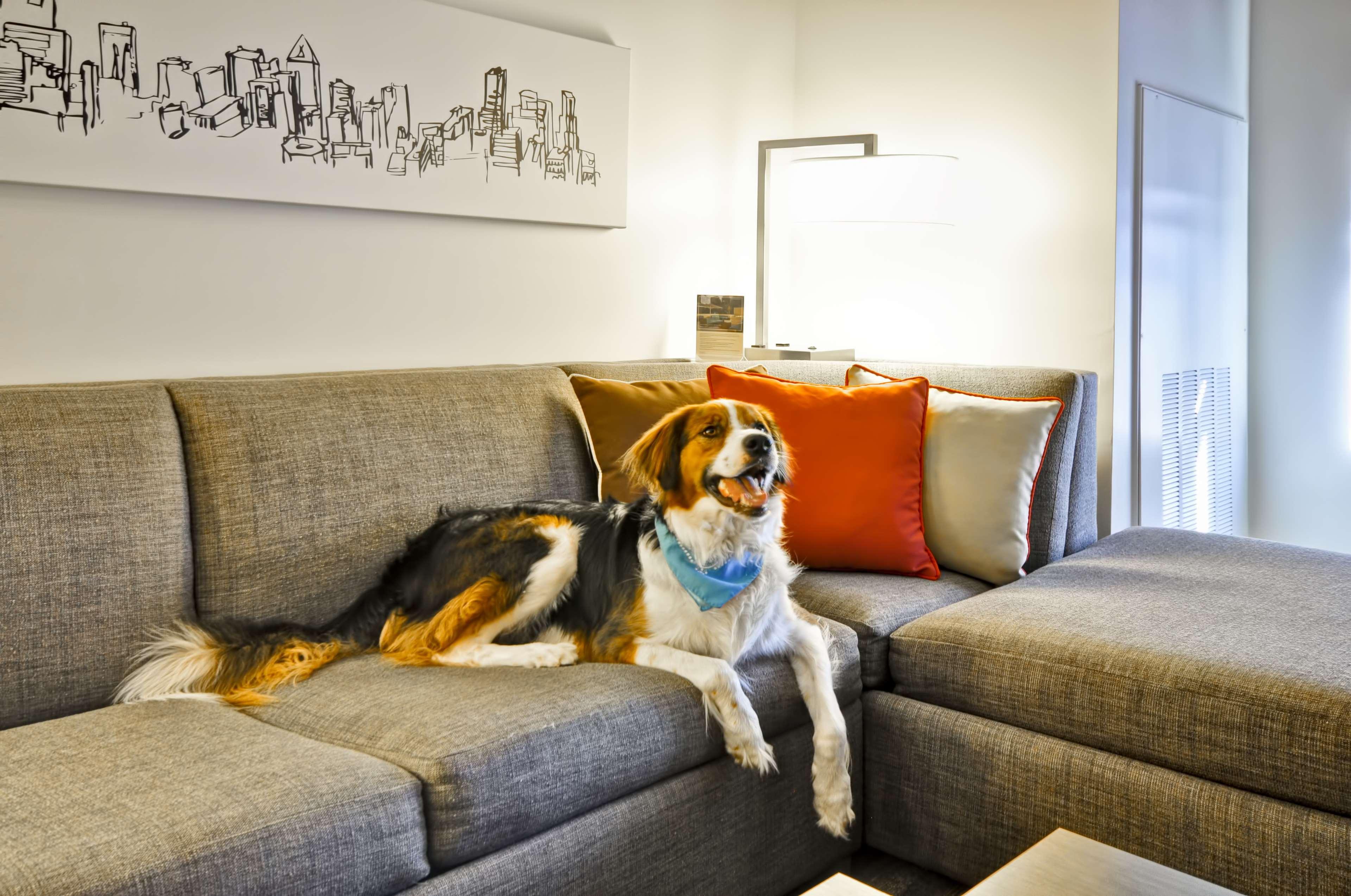Hyatt House Atlanta Cobb Galleria Смирна Екстер'єр фото